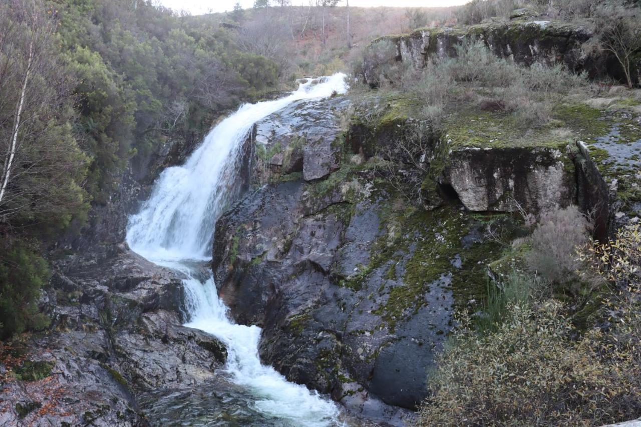 Quinta Da Riba Ma Pensionat Santa Leocadia Exteriör bild