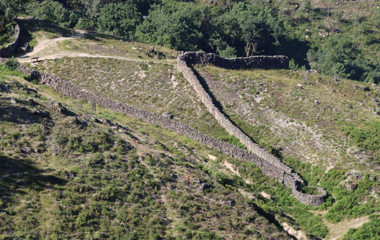 Quinta Da Riba Ma Pensionat Santa Leocadia Exteriör bild