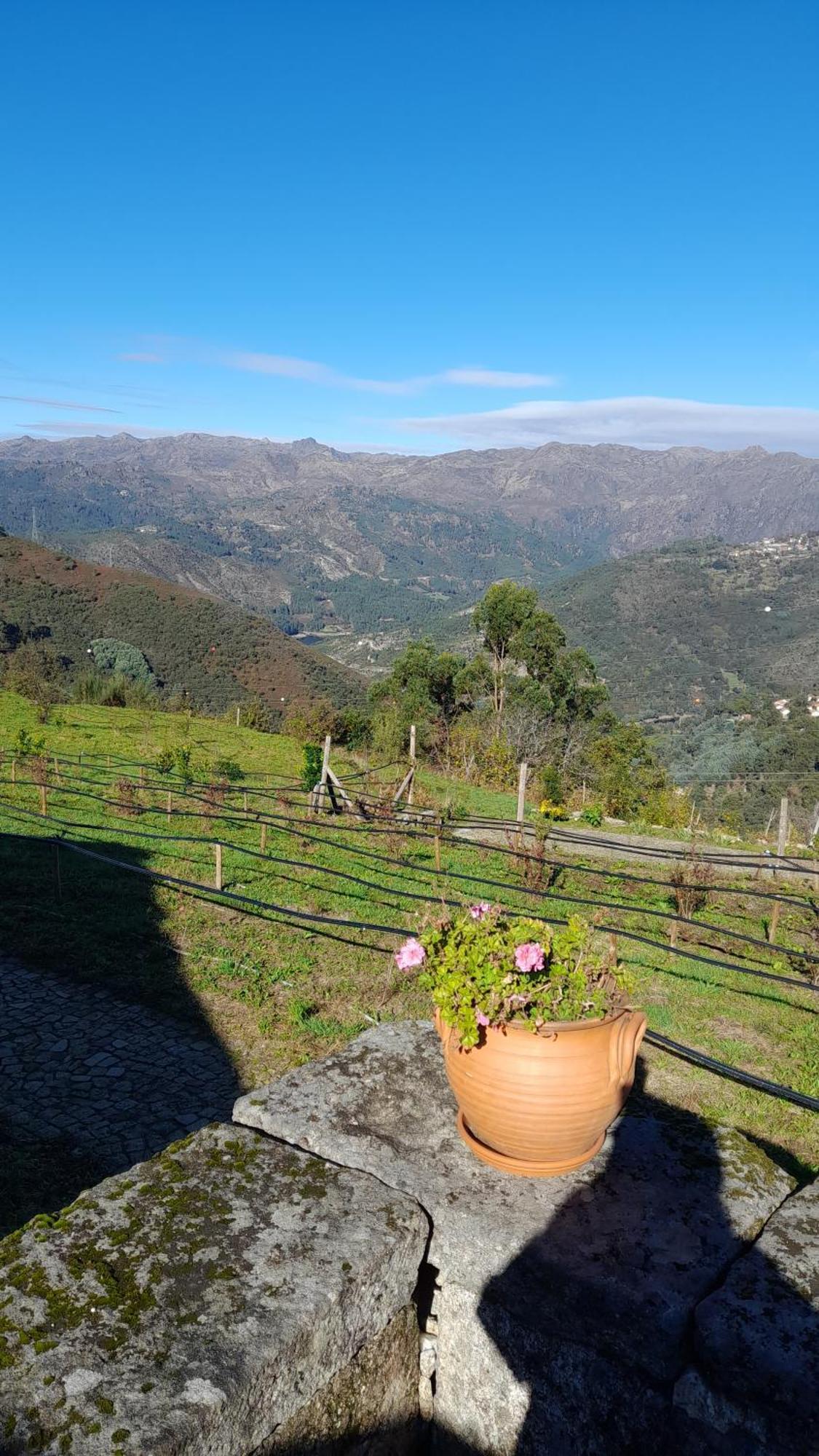 Quinta Da Riba Ma Pensionat Santa Leocadia Exteriör bild